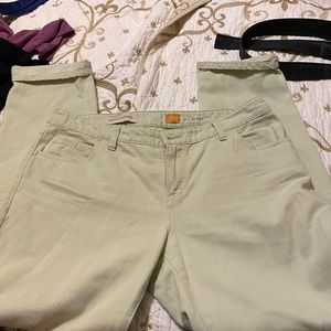 Pilcro and Letterpress Hypen fit jeans Mint Green